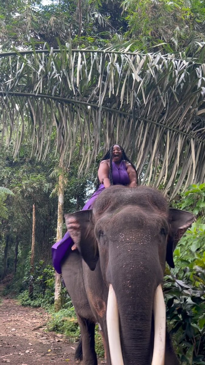Rare footage of an elephant carrying another elephant