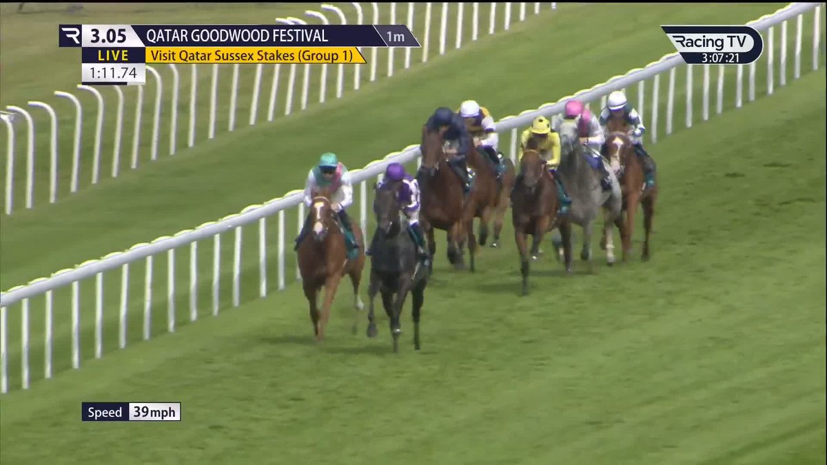 150/1 WINNER ๐คฏ Qirat lands the Visit Qatar Sussex Stakes! ๐ Goodwood Racecourse