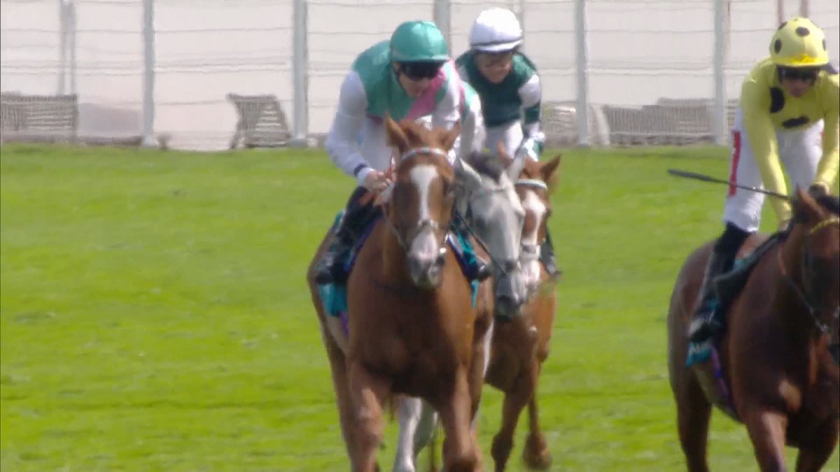 One of the longest priced winners in Group One history! 🤯 Qirat is victorious in the Visit Qatar Sussex Stakes! 🏆 #ITVRacing | Goodwood Racecourse | richard kingscote | Ralph Beckett