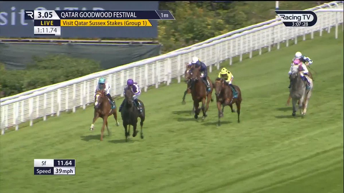 Remarkable. The £1m Visit Qatar Sussex Stakes plays host to one of the biggest Group 1 surprises in recent memory as Qirat lands our feature race of the week. What a storyline - many congratulations to Ralph Beckett, richard kingscote and Juddmonte