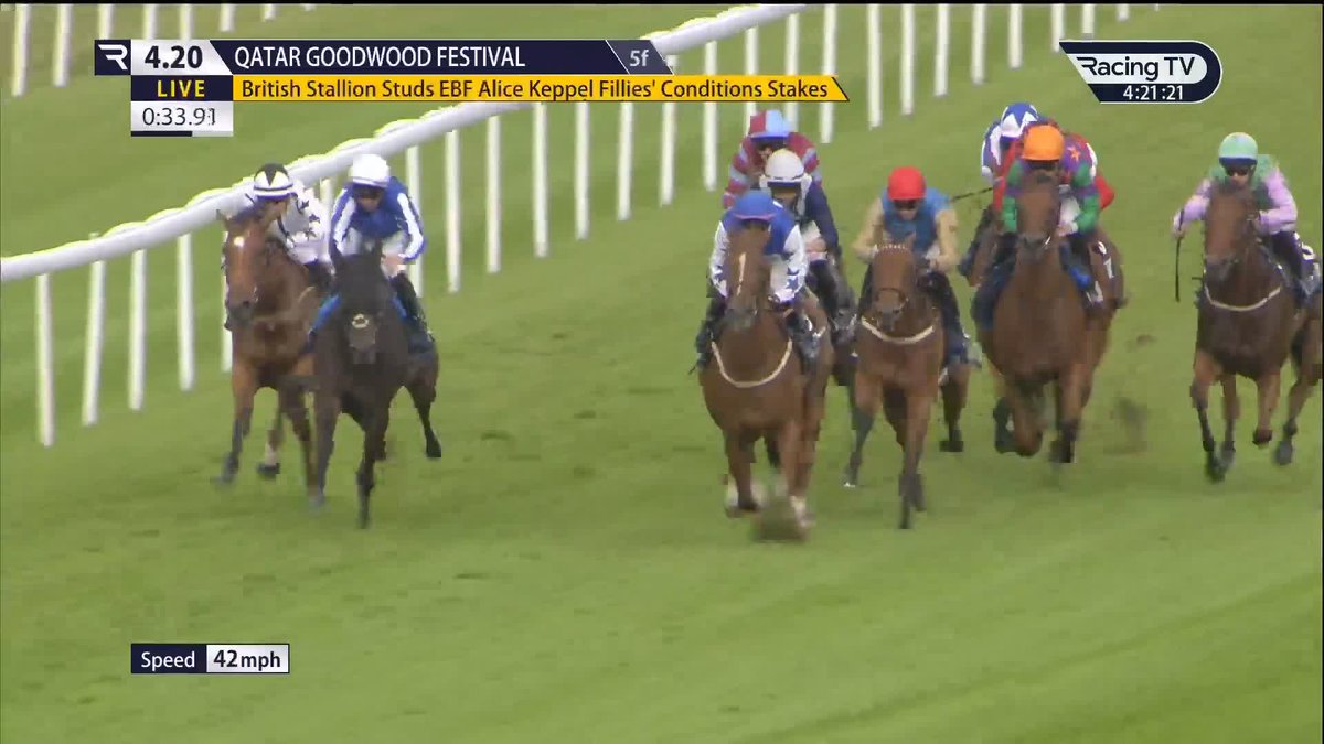 Impressive 👀 Spicy Marg dominates in the British EBF Alice Keppel Fillies' Conditions Stakes under Kieran Shoemark for Michael Bell 🚀 Goodwood Racecourse