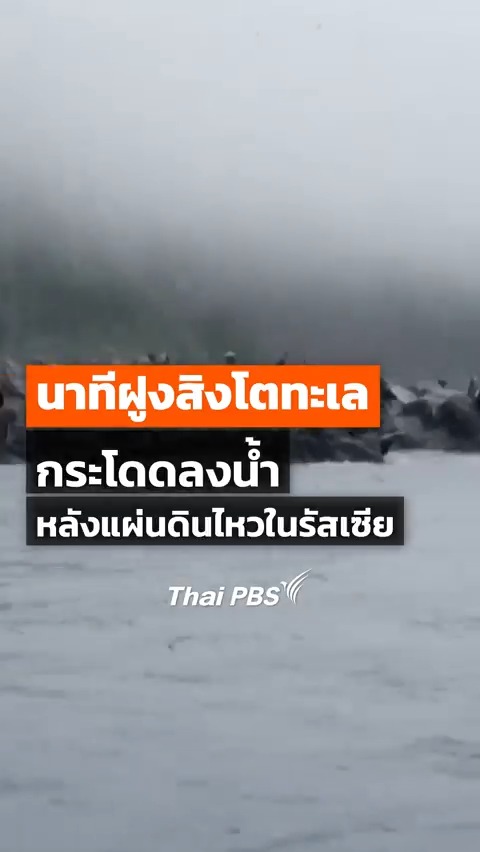 นาทีฝูง #สิงโตทะเล กระโดดลงน้ำ หลัง #แผ่นดินไหว รุนแรงใน #รัสเซีย #ThaiPBS #ข่าวไทยพีบีเอส #ข่าวที่คุณวางใจ