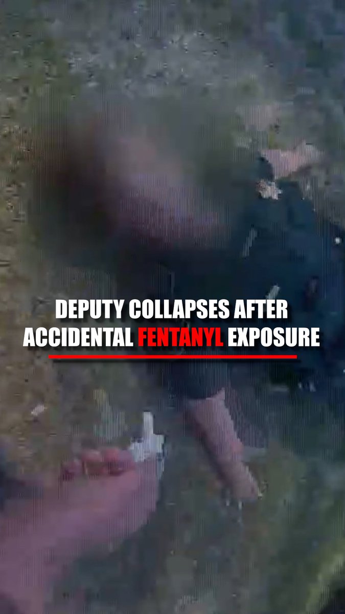 WATCH: A South Carolina sheriff’s deputy collapsed but later recovered after an accidental exposure to fentanyl during a traffic stop.