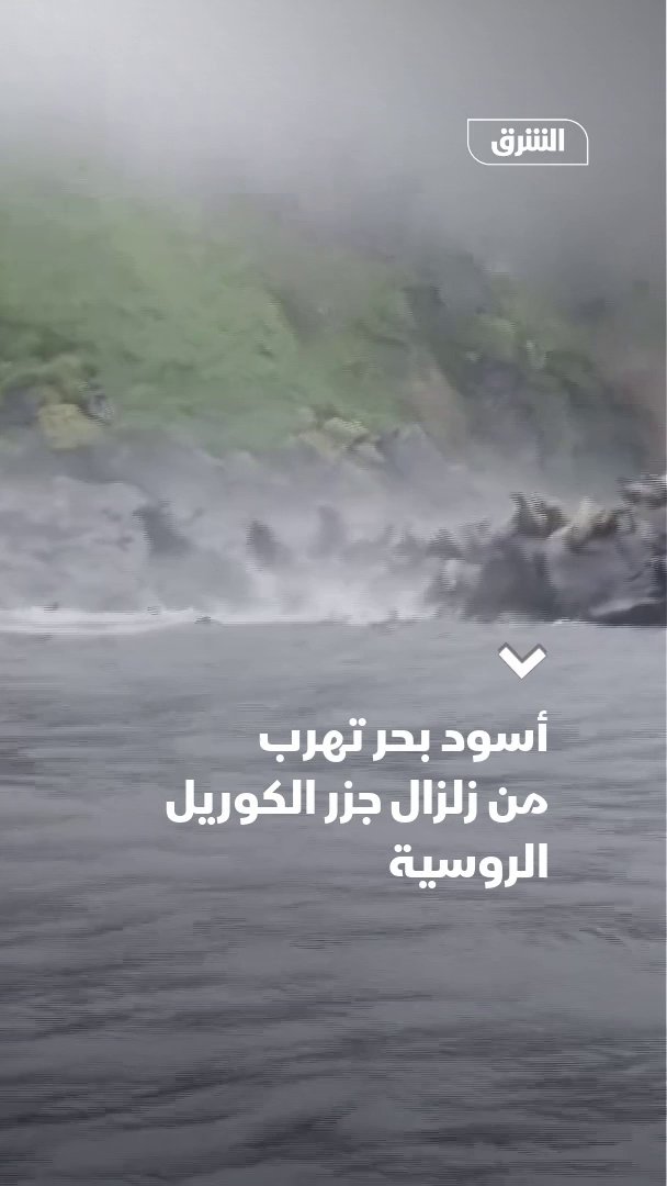 سائح يوثق هروب أسود البحر لحظة وقوع الزلزال الكبير الذي حدث اليوم شرق روسيا. قفزت الأسود البحرية في الماء عندما شعرت بالهزات القوية للنجاة بحياتها.