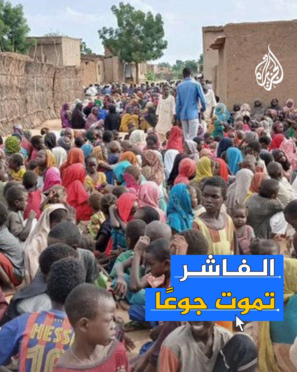 أنقذوا الفاشر.. حملة في السودان لفك الحصار عن المدينة ووقف "تجويعها"