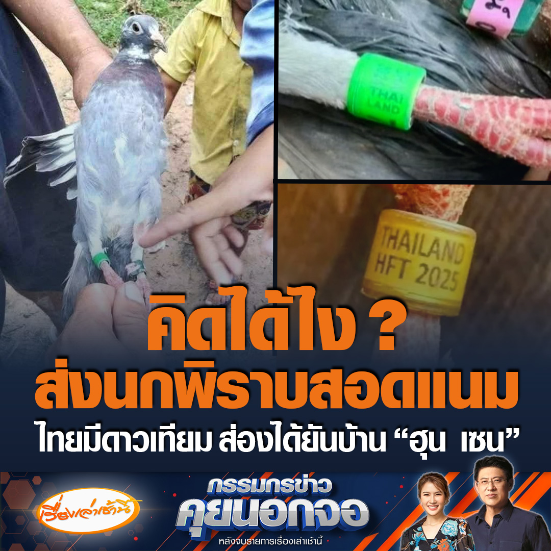 สื่อกัมพูชา กล่าวหาไทยส่งนกพิราบติด GPS บินมาสอดแนม เพราะมีนัมเบอร์ และข้อความระบุไทยแลนด์ไว้ที่เท้า ชาวไทย ลั่นสมัยนี้เขามี “ดาวเทียม” ส่องดูได้ยันหลังบ้าน “ฮุน เซน” #เรื่องเล่าเช้านี้ #ข่าวช่อง3 #กรรมกรข่าวคุยนอกจอ #ไทยกัมพูชา