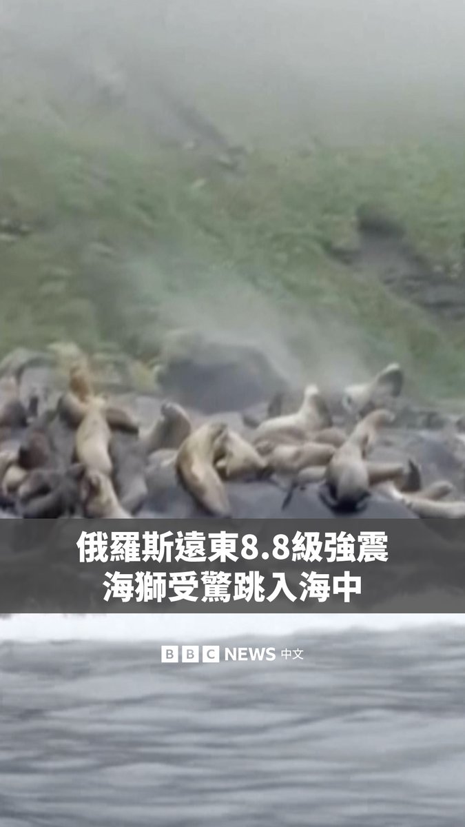 当8.8级强震袭击俄罗斯堪察加半岛附近的安齐费罗夫岛时,受到惊吓的海狮纷纷跳入海中。 这段影片是由一位当时在安齐费罗夫岛附近旅行的游客在船上拍摄的。