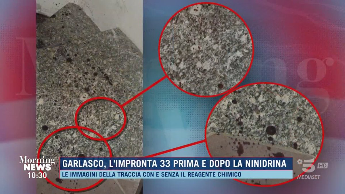 "Non mi sembra corretto far intendere che nell'impronta 33 ci sia traccia del sangue di #Sempio" Il generale Garofano a #MorningNews in diretta su #Canale5 e in streaming su Mediaset Infinity