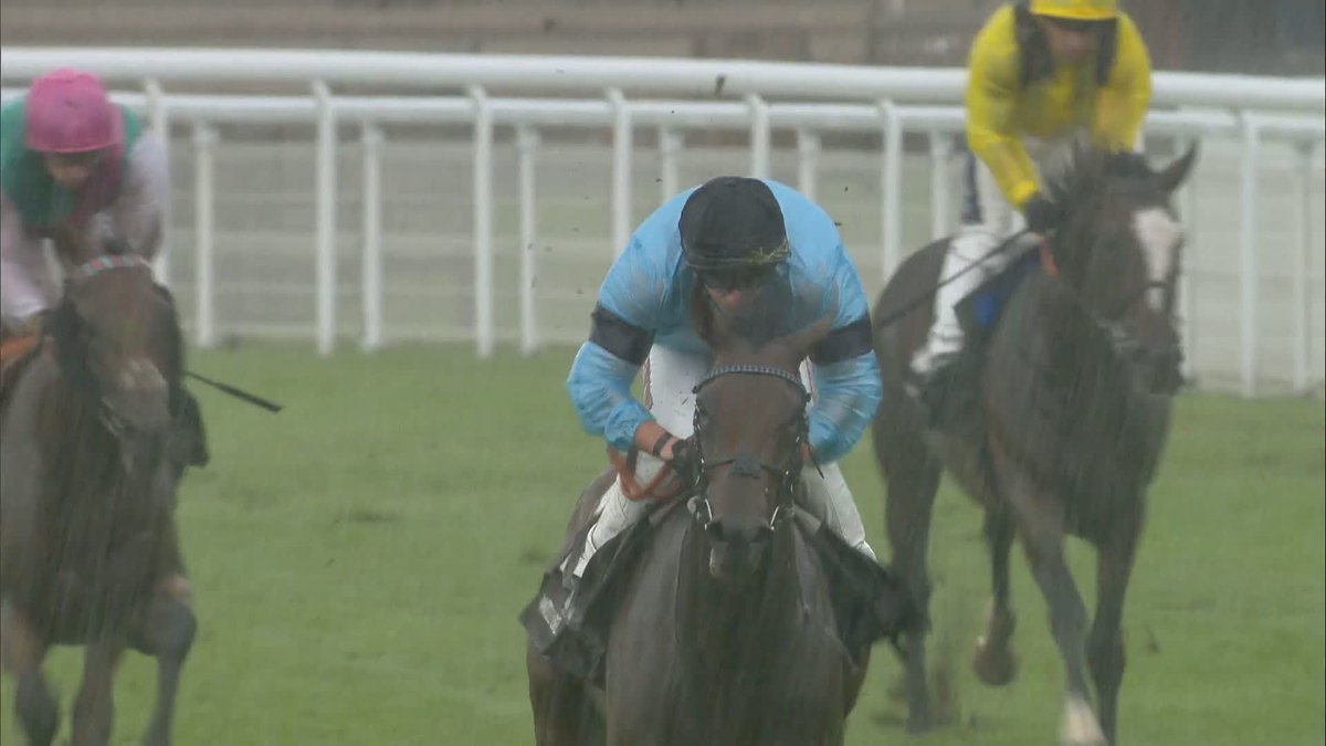 Merchant wins the HKJC World Pool Gordon Stakes 💯 ＠TomMarquand | ＠WilliamHaggas