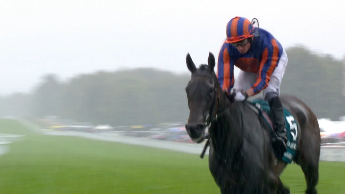 WHIRL wins the Nassau easily Almost as easily as she was given a free lead by the flag start. Honestly just run it tomorrow rather than making British racing look like an amateur circus.