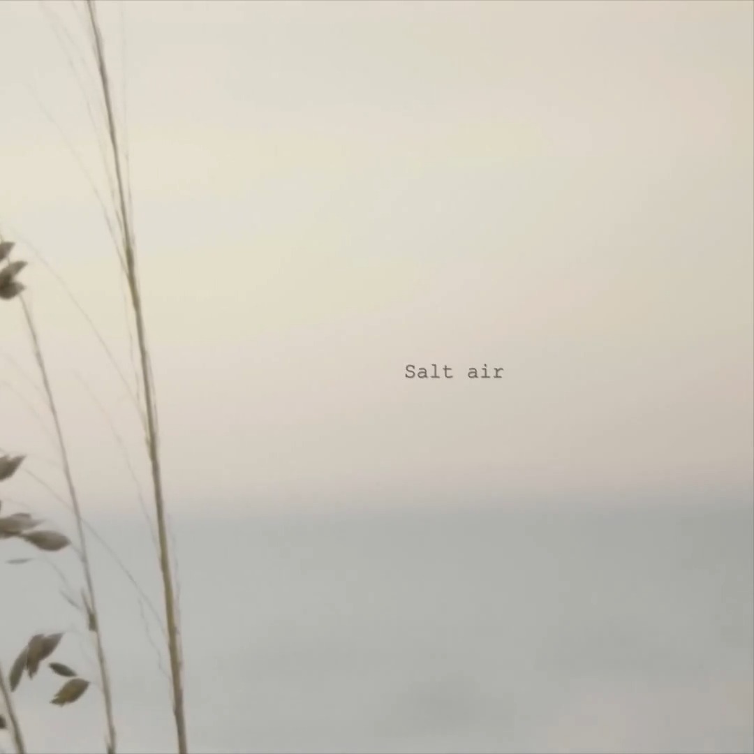"Salt air": Por las referencias a la canción #august de Taylor Swift en el comienzo de agosto