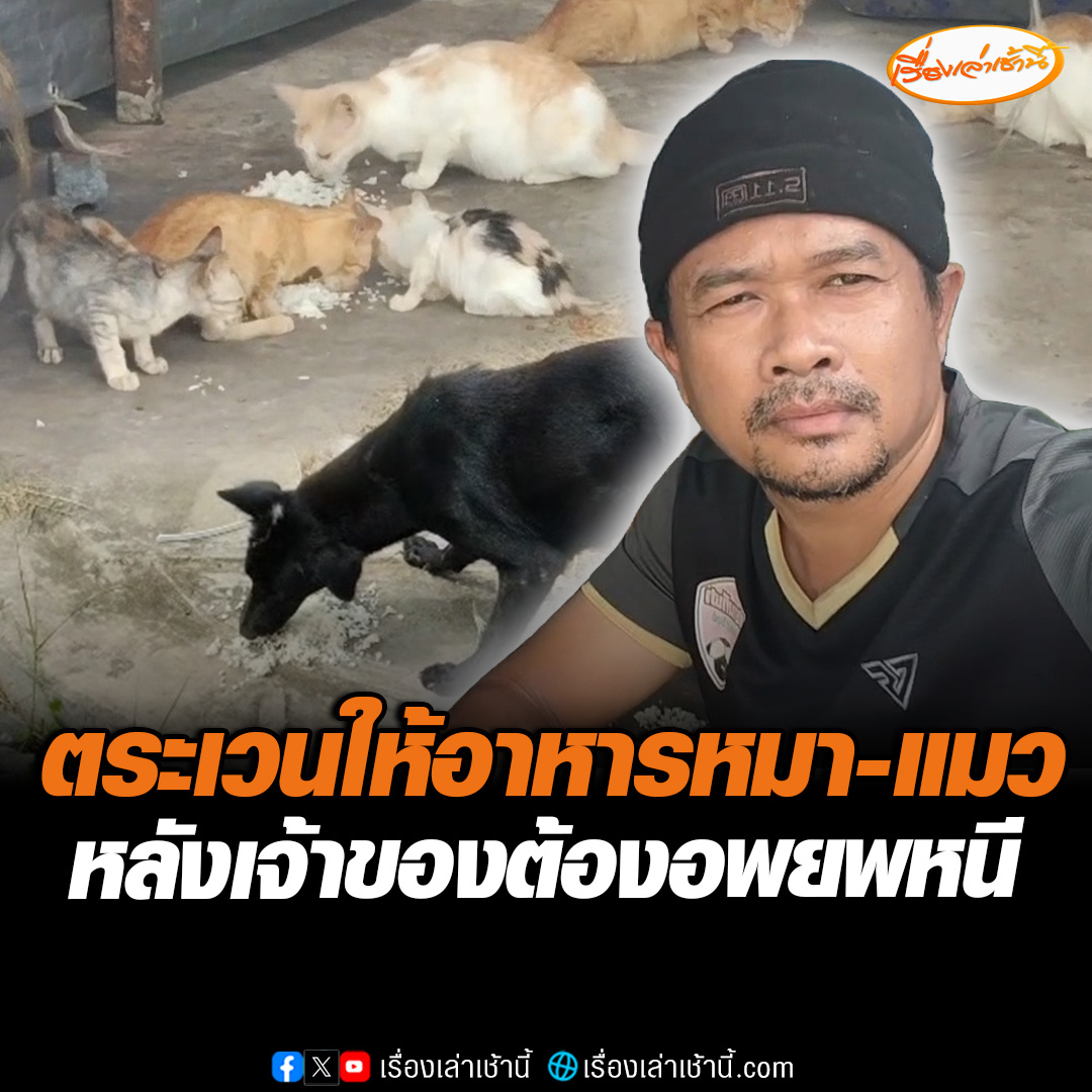 อีกหลายชีวิตที่หิวโหย! คนใจบุญตระเวนนำอาหารให้ หมา-แมว ที่ชายแดนช่องจอม จ.สุรินทร์ หลังอดข้าวผอมโซ เพราะเจ้าของต้องอพยพหนีไปอยู่ที่ปลอดภัย #เรื่องเล่าเช้านี้ #ข่าวช่อง3 #ข่าวภูมิภาค #สุรินทร์ #ไทยกัมพูชา