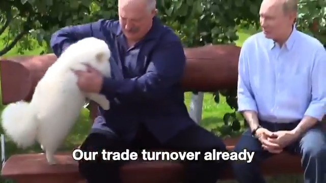 Vladimir Putin's quote on improved turnover between Russia and Belarus forever lost to history as Lukashenko's Pomeranian Umka enters the picture.