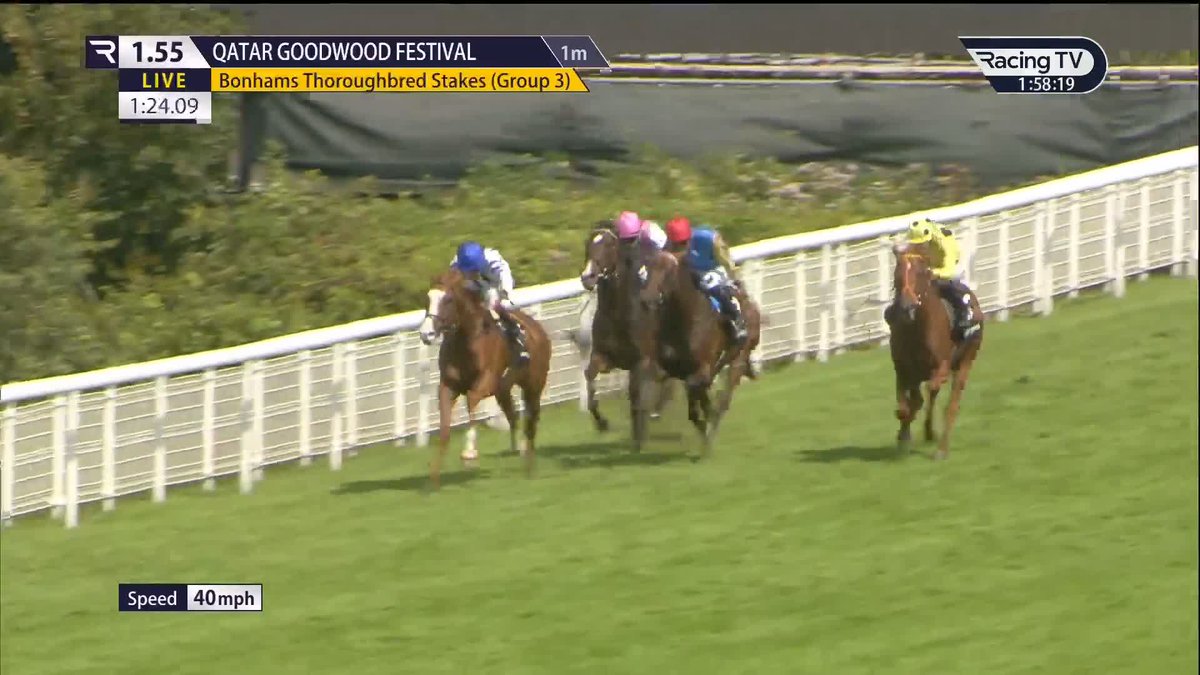 A win for the seagulls! 🪽 Seagulls Eleven, owned by some Brighton & Hove Albion players, wins a messy edition of the Bonhams Thoroughbred Stakes for team HUGO PALMER AT MANOR HOUSE STABLES and Michael Owen. 🟦⬜️