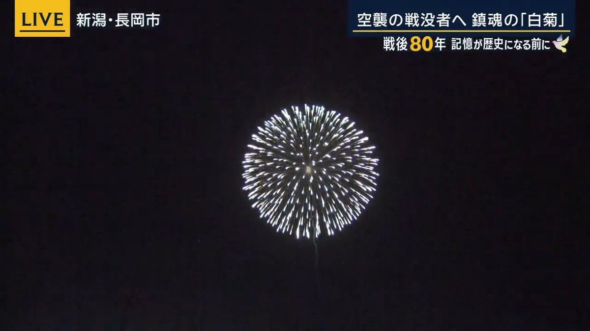 【空襲の戦没者へ】鎮魂の花火“白菊” ｜ 1945年8月1日午後10時30分。新潟・長岡市の市街地は16万3000発以上の焼夷弾で約8割が焼き尽くされ、1489人の命が奪われました しかし長岡市民は、終戦翌年に戦禍で中断していた祭りを再開。さらにその翌年に“長岡の花火”を復活させ、今や日本有数の花火大会に 「長岡まつり」開催前日の8月1日に3発だけ打ち上がる『白菊』。この花火には“戦没者への慰霊”という意味が込められています
