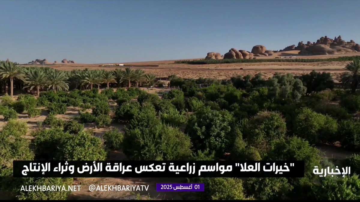 "خيرات العلا" مواسم زراعية تعكس عراقة الأرض وثراء الإنتاج