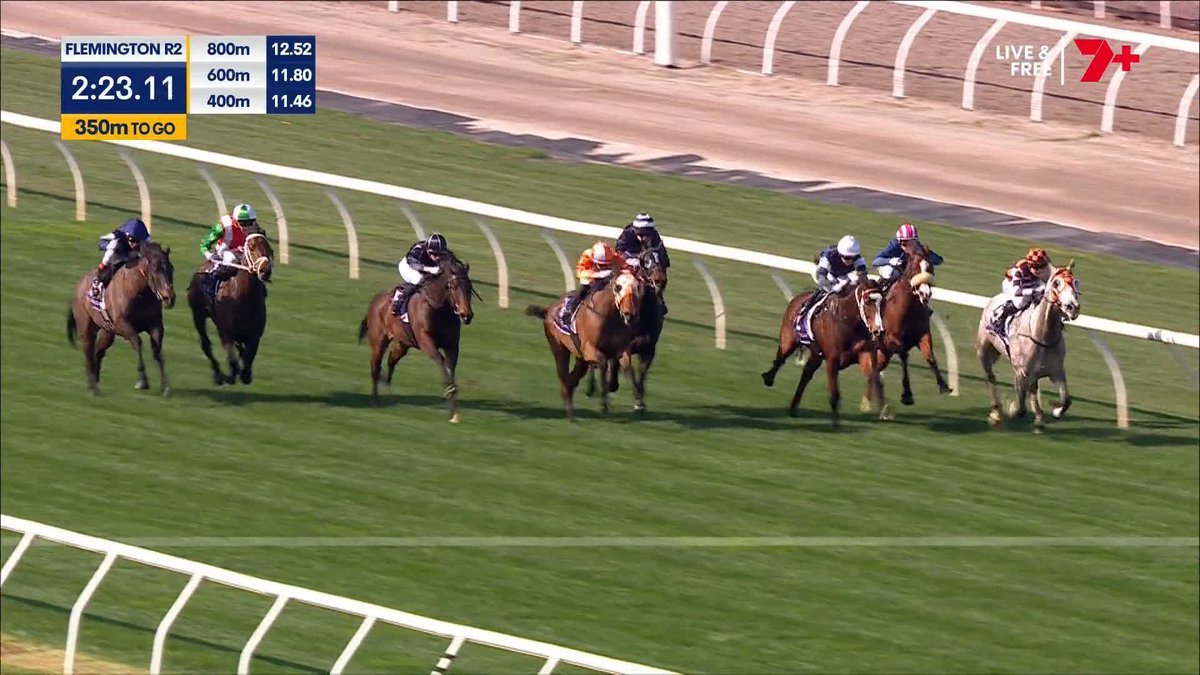 Bold Soul is a beauty! He strikes again at Flemington for Team Payne and Micky Dee in a competitive finish to the staying event of the day ๐ช Michelle Payne
