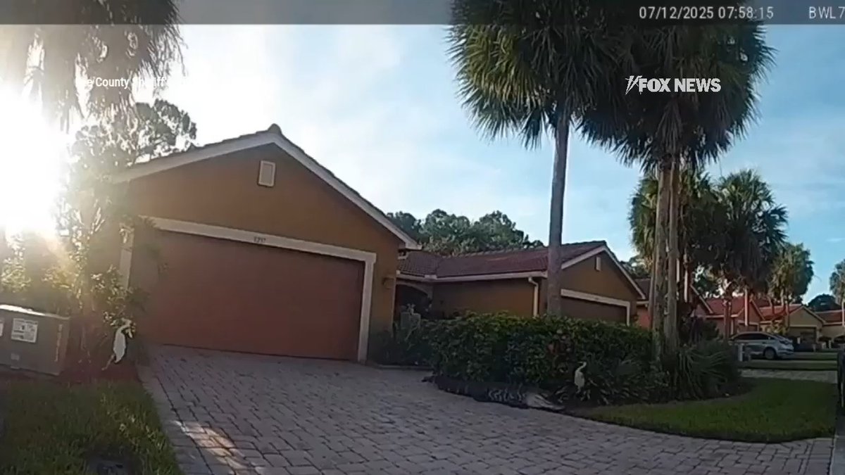SEE YA LATER: Watch Florida deputies take down a feisty 9-foot alligator prowling a front lawn