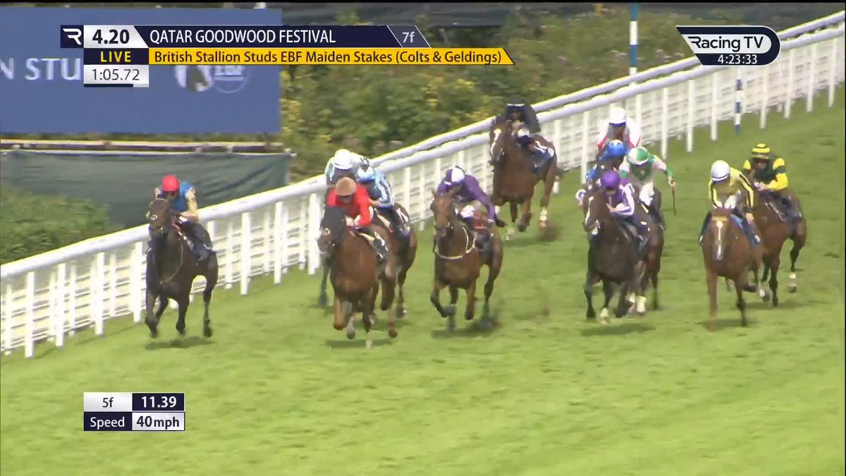 Got there in the end ๐ชโฌ๏ธ The scopey Isaac Newton got rolling late to open his account at the second attempt. What do we make of that? Ballydoyle Racing | Coolmore | Goodwood Racecourse
