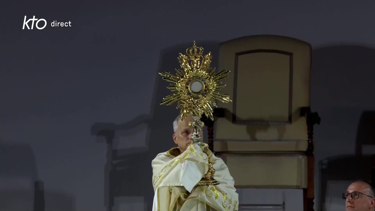 🔴 A l'issue de la veillée d'adoration, le pape #LéonXIV donne la bénédiction eucharistique à la foule de jeunes présents à #TorVergata. #JubilédesJeunes 👉 Veillée à revoir en intégralité : Iubilaeum25 Philippine de Saint Pierre