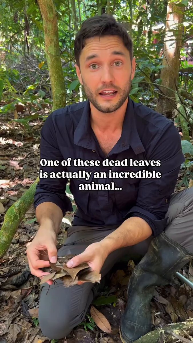 This man shows a creature that is basically indistinguishable from nature