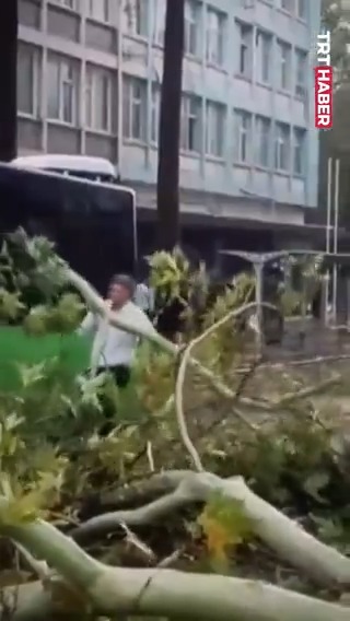 Denizli’de sağanak ve fırtına sonrası belediye otobüsünün üzerine ağaç devrildi.