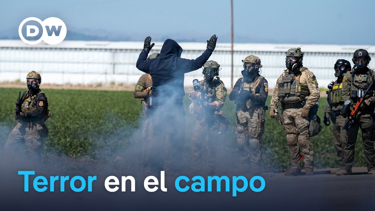 Las redadas de Trump amenazan la seguridad alimentaria de EE. UU. El 42% de los trabajadores agrícolas en EE. UU. carecen de estatus legal. Sin ellos no hay cosecha. /ic