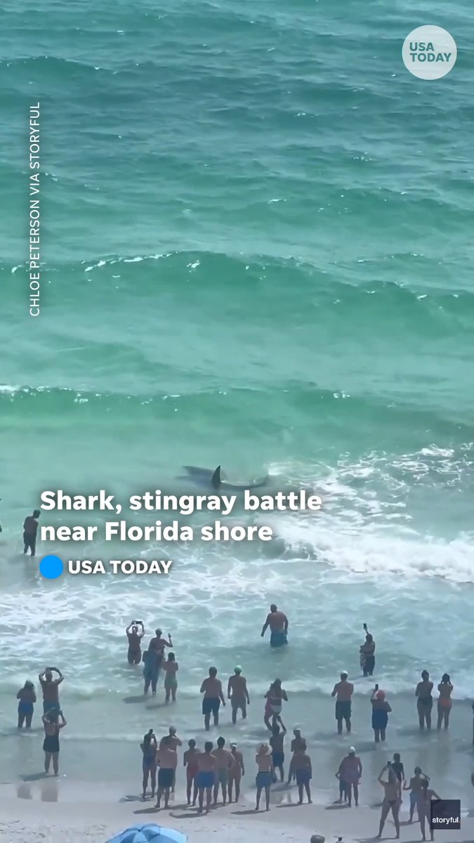 Florida beachgoers gathered along the shore to watch a shark and a stingray battle near Panama City Beach.