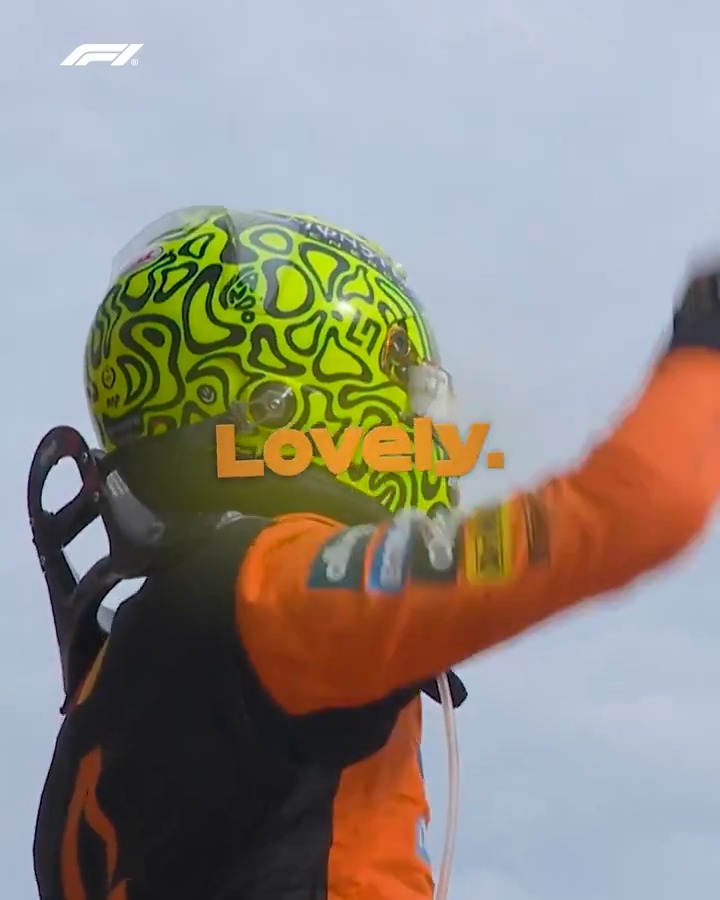 Lando Norris fights back in the title race with a hard-earned victory 💪 #F1 #HungarianGP