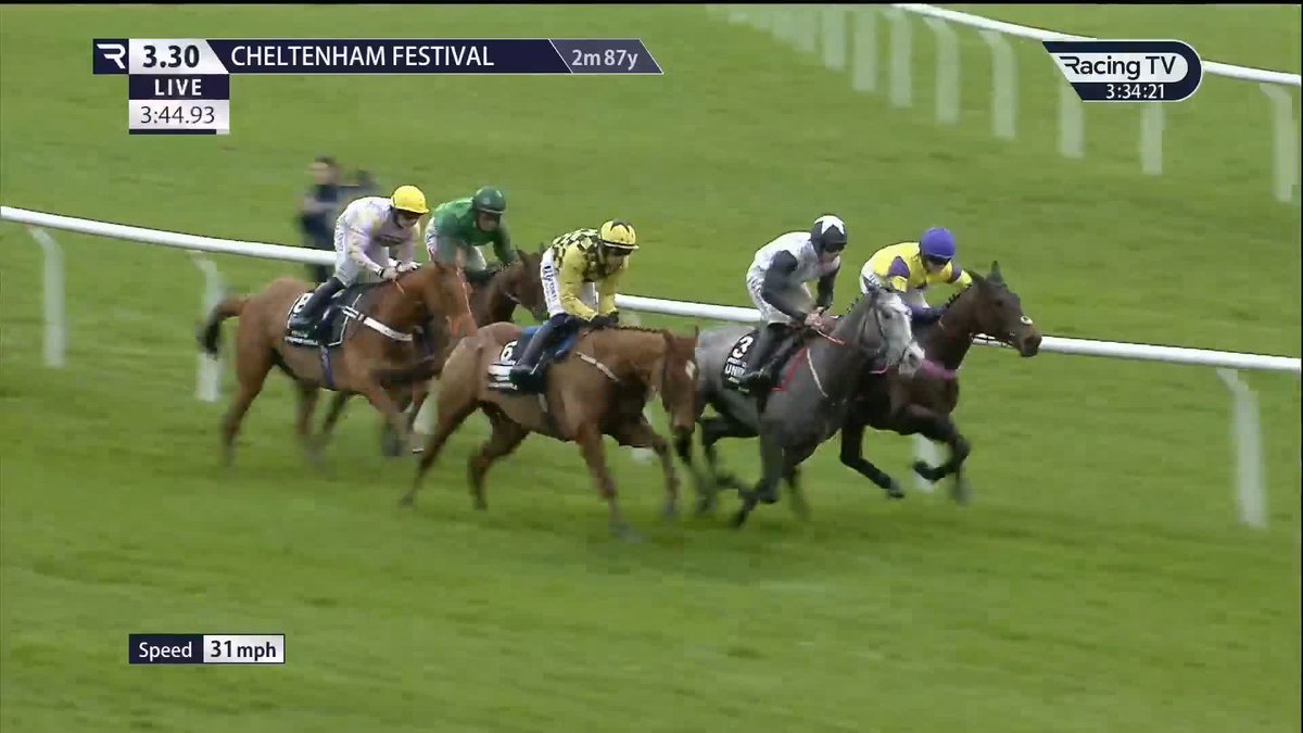 🔴⚫️STATE WOMAN a full sister to Champion Hurdler State Man is to be trained by George & Zetterholm Racing 👀She will run in the The Big Westerner silks of M. K. Mariga Coolmara Stables