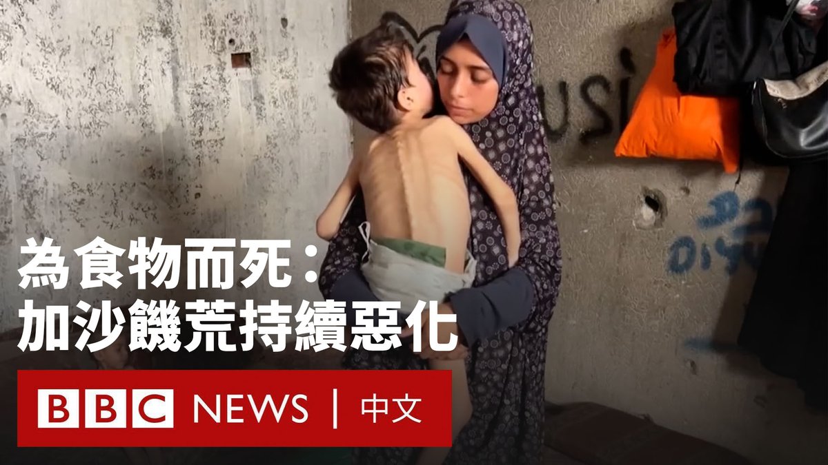 在加沙的饥荒持续恶化之际,联合国表示,以色列军队仍持续在加沙人道主义基金会站点周边及食品运输路线上对巴勒斯坦人实施枪击和炮击。 与此同时,哈马斯发布了两名骨瘦如柴的以色列人质的影片,其中24岁的人质艾维塔·大卫被绑架者拍到据称在地道里为自己挖坟墓。 该影片引发了以色列人的广泛愤怒。数千人在特拉维夫举行示威活动,要求政府与哈马斯达成协议、释放所有剩余人质。 一些援助机构指责以色列在与哈马斯的战争中将粮食作为武器,导致加沙陷入饥荒。但以色列称“没有饥荒”,也没有对进入加沙的援助实施限制。