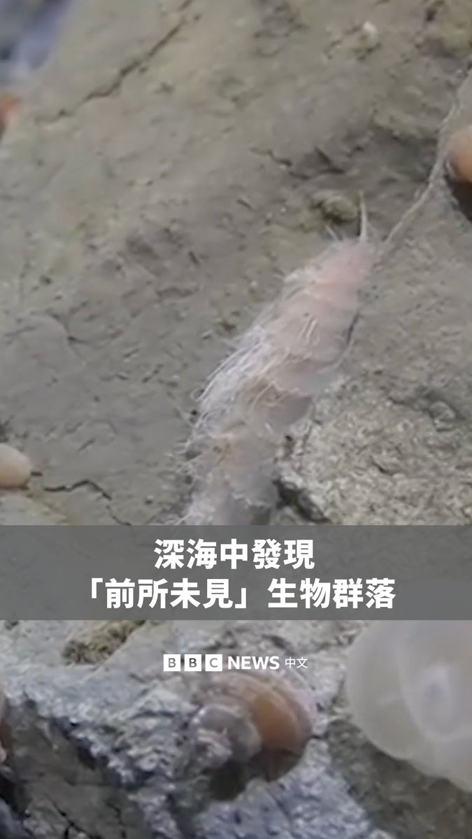 一支由中国领导的研究团队乘坐载人潜水器潜入西北太平洋的海沟，拍摄了水深超过9公里的生命迹象画面。 这次探险之前拍摄到最深的海洋脊椎动物是位于深度8,336公尺的“蜗牛鱼”。这些最新的观察结果被发表在《自然》杂志。