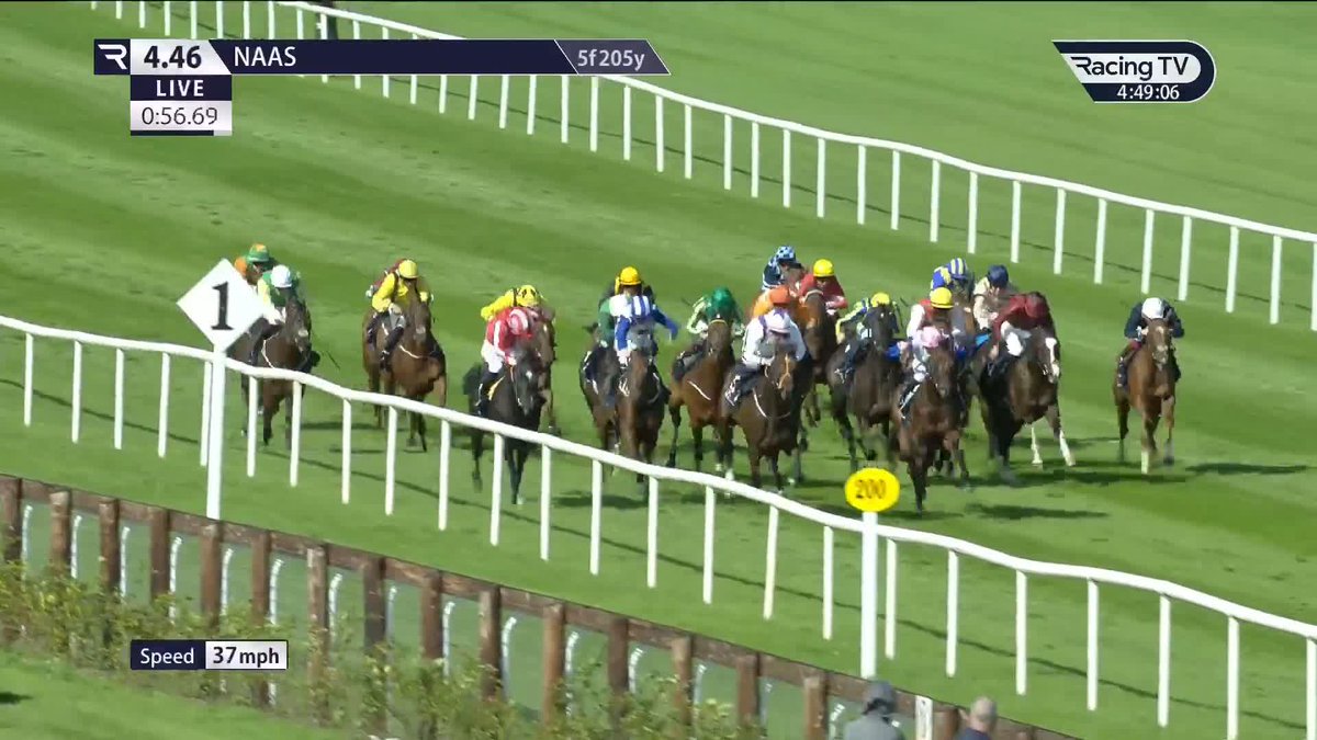 The Ger Lyons-trained Howd'yadoit captures the €200,000 Irish Stallion Farms Ballyhane Stakes 🏆