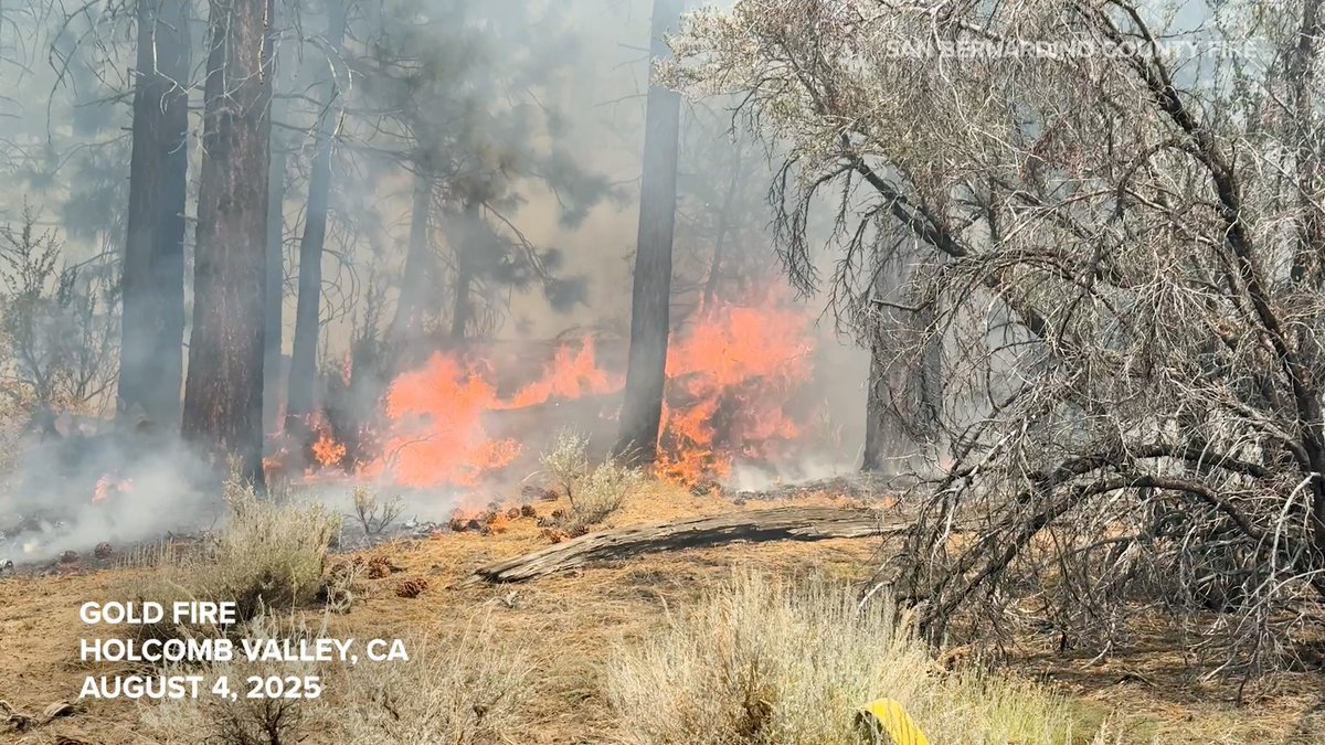 Multiple County Fire resources remain deployed assisting #USFS on #GoldFire north of Big Bear Lake. Two Type 3 engine companies, one water tender, one brush patrol and two chief officers are on scene. Latest update is 348 acres with zero containment. Follow San Bernardino National Forest for continued updates. CAL FIRE BDU