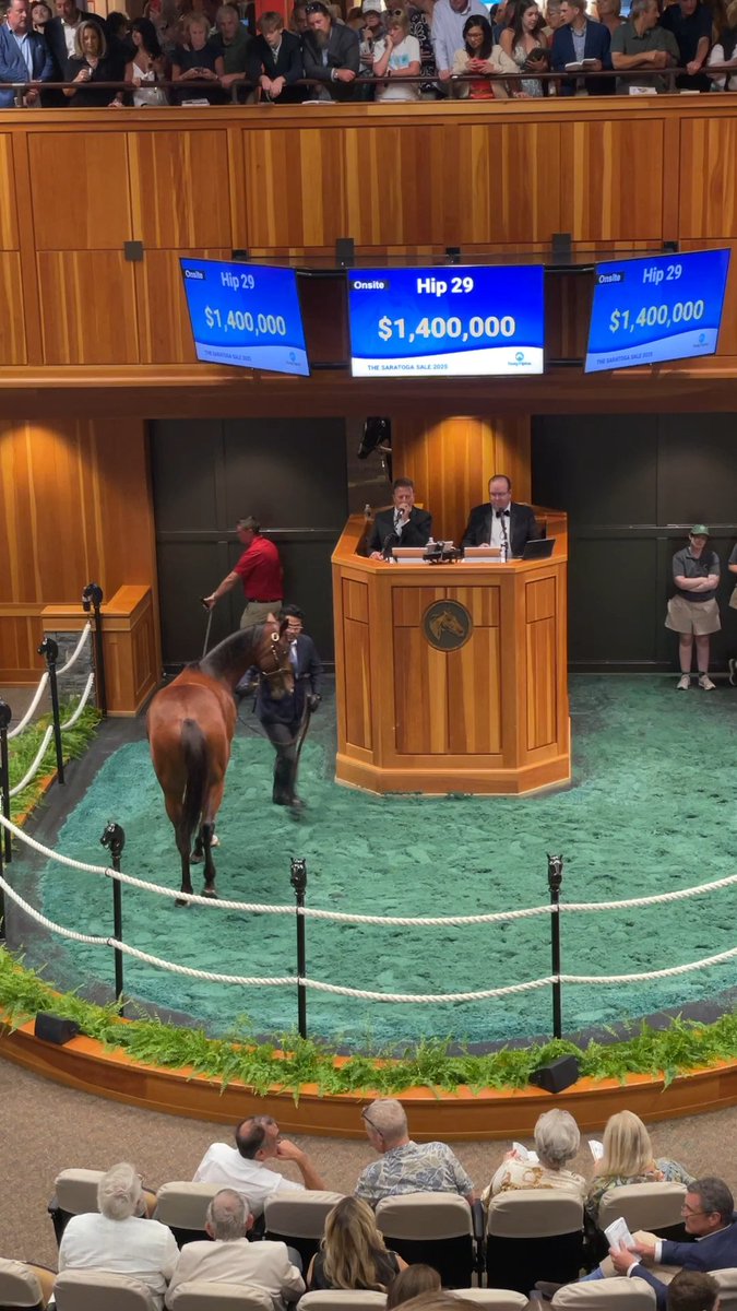 Hip 29 c. JUSTIFY o/o Zeezee Zoomzoom sells for $1,400,000 at The Saratoga Sale! Colt is 1/2 to Breeders' Cup champion Caravel. Congrats to the connections: B: Qatar Racing C: Hunter Valley Farm, agt Br: Elizabeth M. Merryman #FasigSaratoga Coolmore America Pa HBPA #PAbred