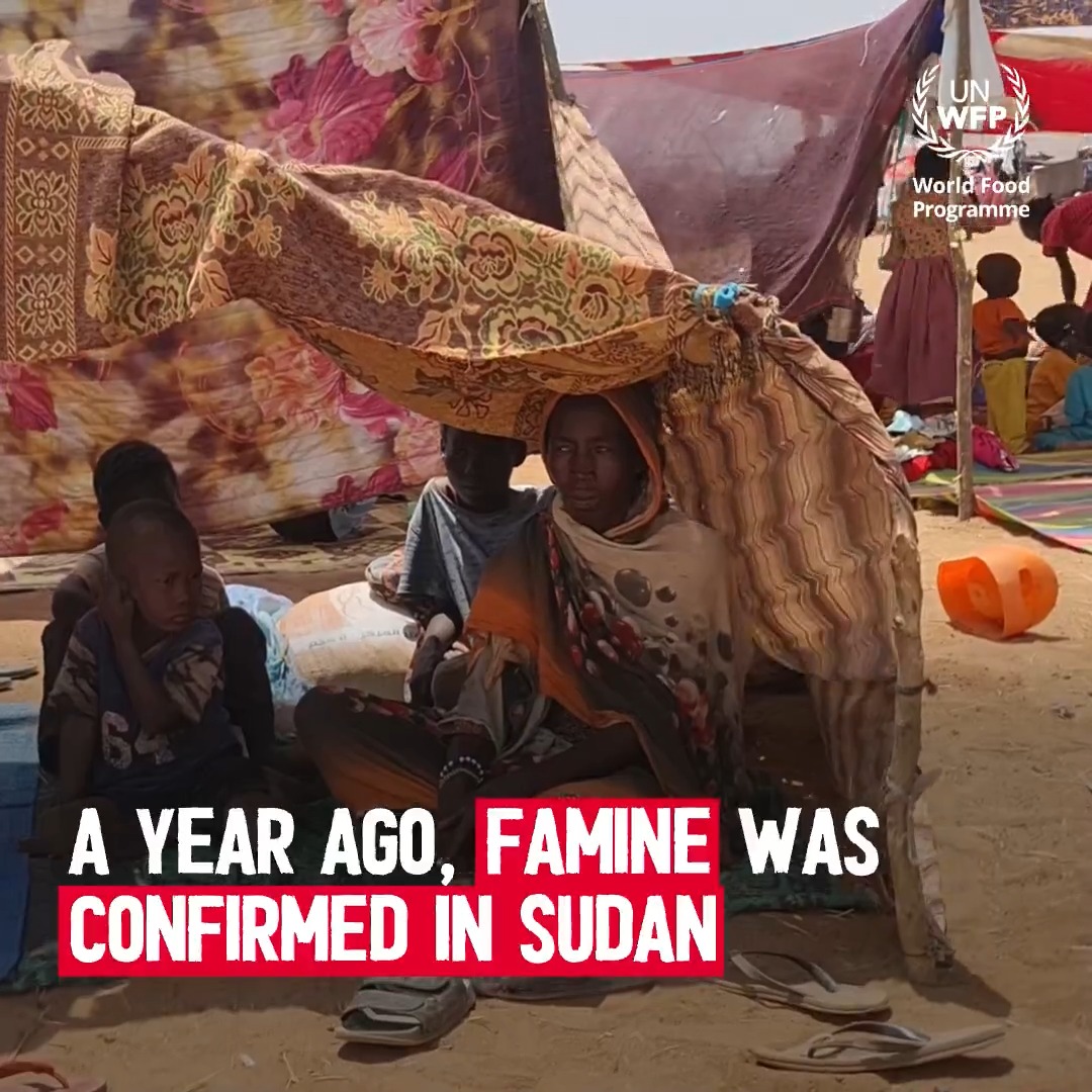 #Sudan: This is what being on the brink of starvation looks like. Families in El Fasher are eating animal fodder to survive. WFP Sudan is ready with trucks full of food assistance to send into El Fasher. We urgently need guarantees of safe passage.