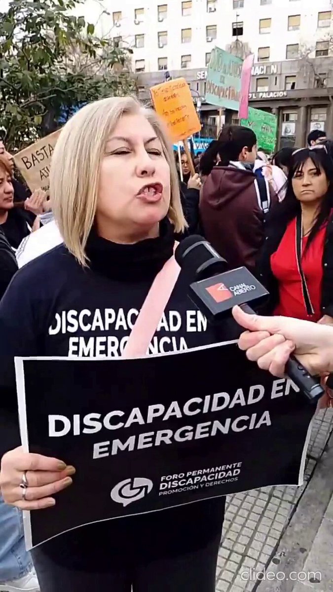 Testimonio en Congreso: "Yo lo voté a Milei, pero si sigue así no lo vuelvo a votar porque está tocando lo más sagrado que es mi hijo. Y así hay un montón de casos"