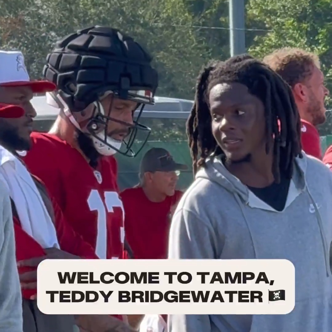 Tampa Teddy has arrived 🌴