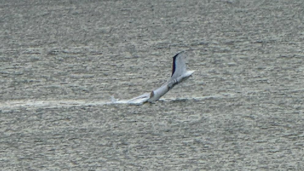 A pilot of a small plane that crashed into the ocean near Oak Island, North Carolina, was rescued and treated for non-life-threatening injuries once on shore.