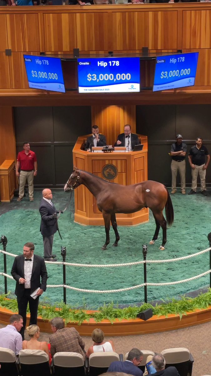 Hip 178 c. INTO MISCHIEF o/o Lady Kate sells for $3,000,000 at The Saratoga Sale! Congrats to the connections: B: Resolute Racing C: Gainesway, agt for Stonestreet Bred for Brilliance Br: Stonestreet #FasigSaratoga Spendthrift Farm