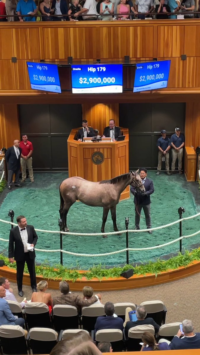 Hip 179 c. GUN RUNNER o/o Princesa Carolina sells for $2,900,000 at The Saratoga Sale! Colt is 1/2 to G2 winner/G1 placed Muhimma. Congrats to the connections: B: Donato Lanni, agt for Zedan Racing Stables, Inc C: Four Star Sales, agt Br: Three Chimneys Farm #FasigSaratoga