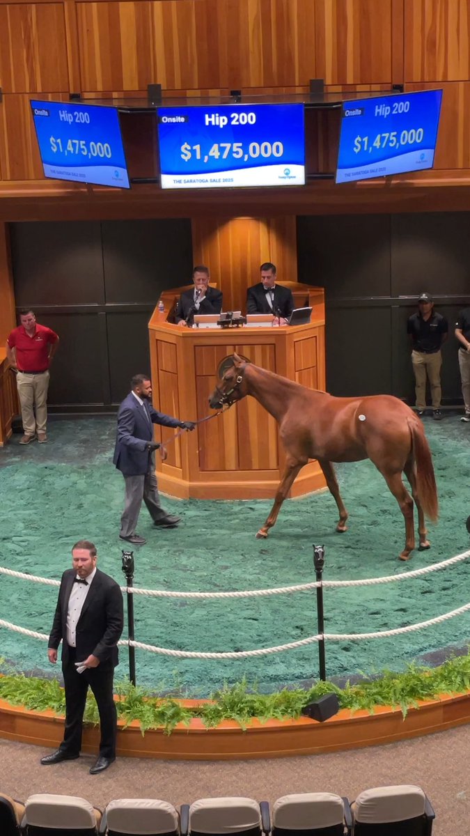 Hip 200 f. GUN RUNNER o/o Shedaresthedevil sells for $1,475,000 at The Saratoga Sale! Filly is first foal out of her Kentucky Oaks winning dam. Congrats to the connections: B: Erdenheim Farm C: Gainesway, agt Br: Whisper Hill Farm #FasigSaratoga Whisper Hill Farm Three Chimneys Farm