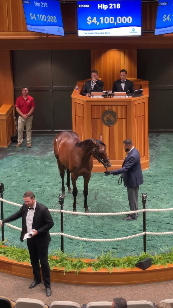 Hip 218 c. INTO MISCHIEF o/o Stellar Sound sells for $4,100,000 at The Saratoga Sale! Congrats to the connections: B: Coolmore & White Birch Farm C: Hill 'n' Dale Farms, agt for Haras Don Alberto Br: Don Alberto Corporation #FasigSaratoga Spendthrift Farm Coolmore America