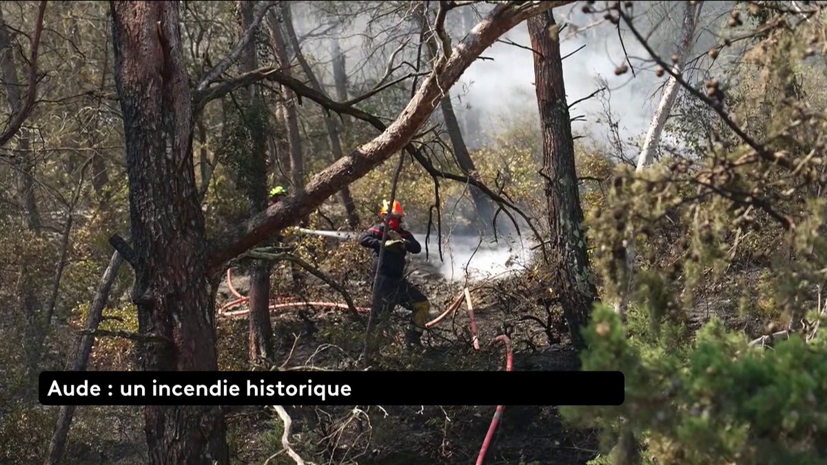 🔴 Incendie dans l'Aude. "C'est une des conséquences du dérèglement climatique" constate Benoît Biteau, député EELV, qui explique : "le fait qu'il y ait des températures caniculaires et des vents violents rend la lutte contre ces feux extrêmement difficile". #canal16 #franceinfo