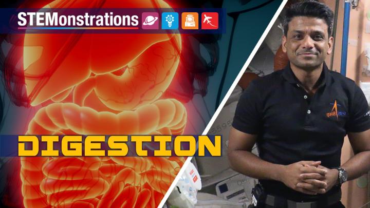 How does digestion work & is it affected by microgravity?🤔 In the latest STEMonstration video, ISRO (Indian Space Research Organization) astronaut Shubhanshu Shukla dishes on nutrition & how the body digests food in space. Hungry for more? Visit