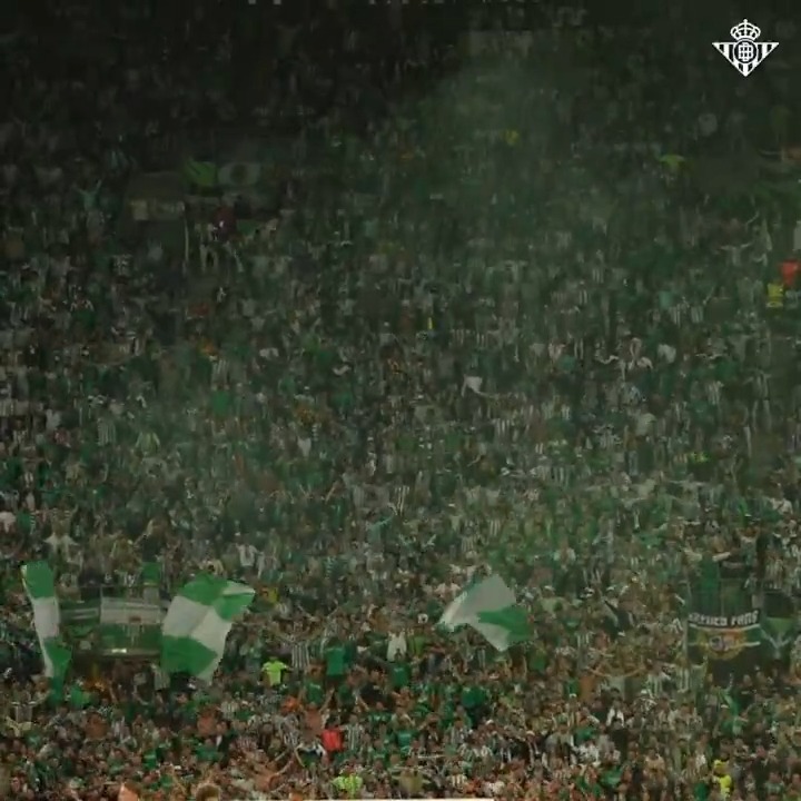 Sueño con una grada unificada que se vea de esta forma Real Betis Balompié 🌴💚 💚