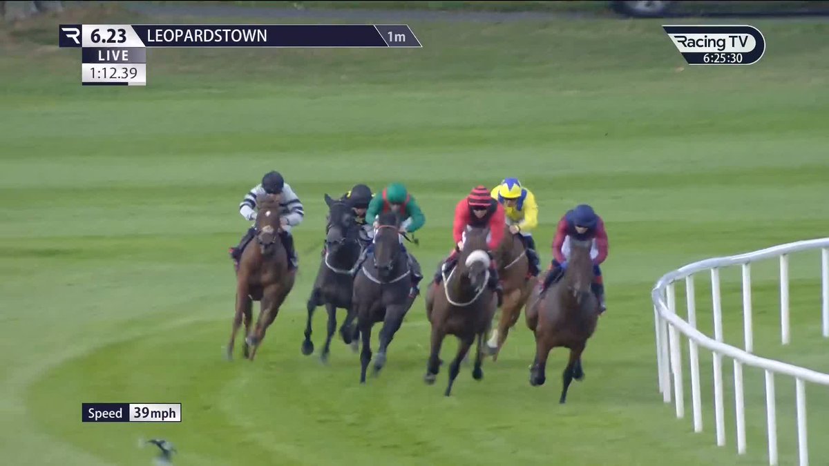 🇬🇧 British raider Johan lands the G3 Bahrain Turf Club Desmond Stakes Leopardstown RC