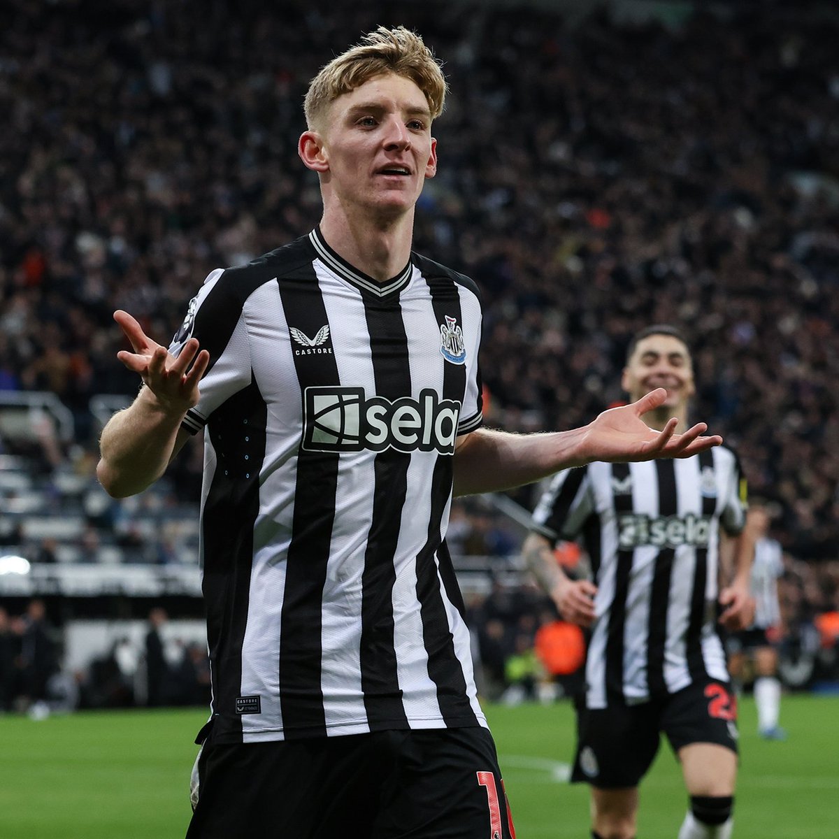 Anthony Gordon, What a player !!!!! Another transfer saga coming next season #NUFC