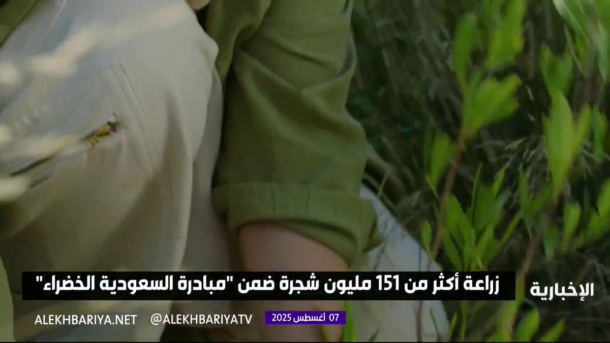 زراعة أكثر من 151 مليون شجرة ضمن "مبادرة السعودية الخضراء" #الإخبارية