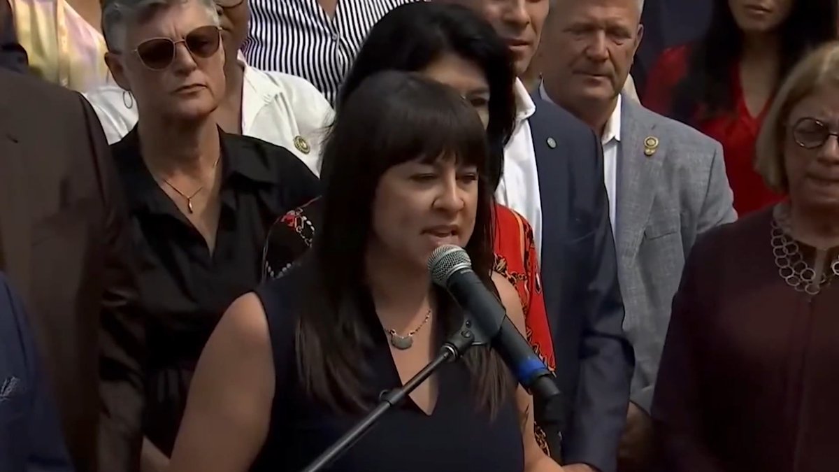 Missouri State Rep. Ashley Aune (D) calls out Republicans that aim to further gerrymander the state: "They're gonna do exactly what Daddy Trump told them to. They're gonna hit that button, and they're going to give us a 7-1 map in Missouri ... It's bullshit, and we won't stand for it in Missouri."
